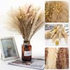 1 Bunch Dried  Reed Flowers Natural Plant Dried Pampas Grass Ornaments For Living Room Dining Tables Party Hallways Decoration