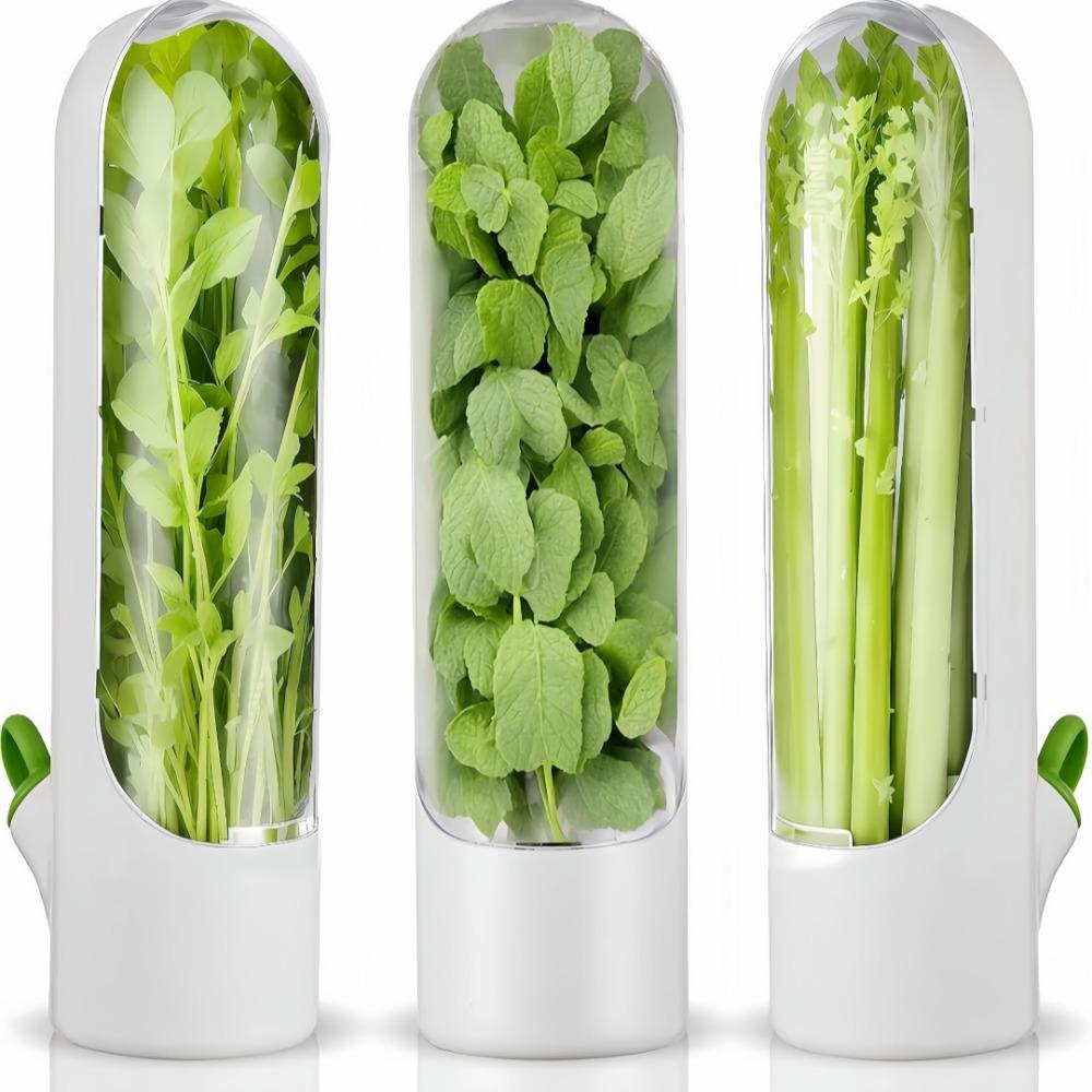 Vegetable Preservation Box Plastic Cylindrical Anti Pressure Environmentally Friendly Cup For Organizadores Storage Containers