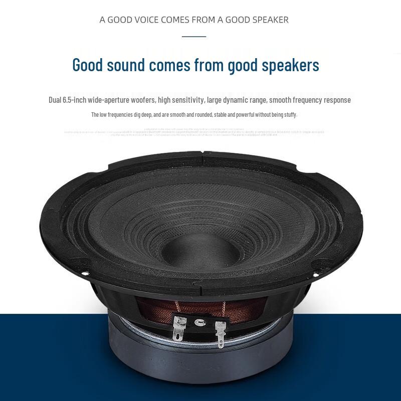 KAXISAIER Professional Passive Conference Speaker