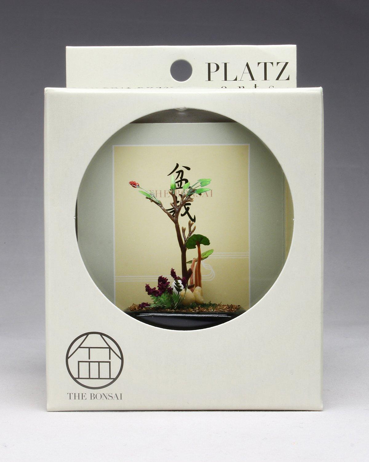 

Platz Wildflower Bonsai Square [Black Pot]