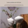 Vaso in Ceramica Wabi-Sabi: Composizione floreale idroponica minimalista per soggiorno o decorazione interna