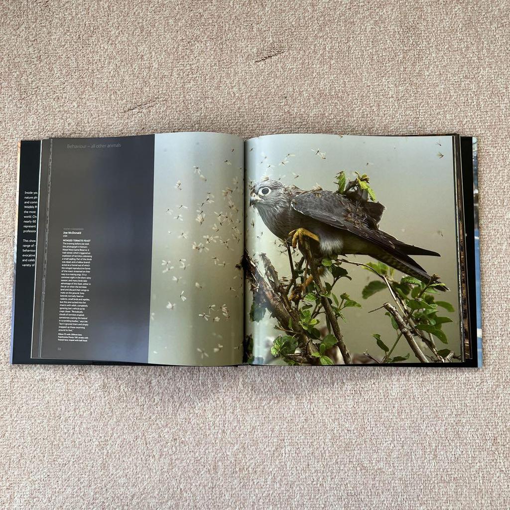 [USED] Foreign Books: Wildlife Photographer of the Year