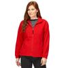 Regatta Ladies/Womens Thor III Fleece Jacket (280g GSM)