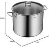 WMF Silit Soup Pot with Lid, 28 Cm, 12 L (21.0319.0912)