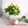 Flowers Eighteen Simulated Daisy Pine Cone Artificial Green Plant Potted Plant