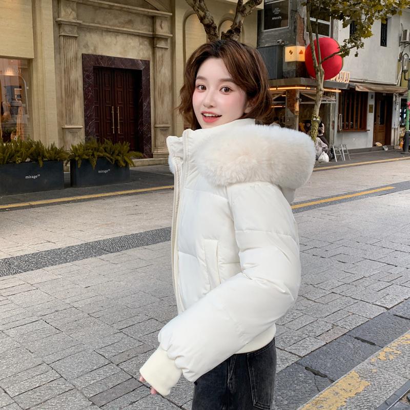 Podzim Zima Zateplená Teplá Parka Dámská Ležérní Jednobarevná Velká Kapsa Volná Krátká Bunda s Kapucí Svrchní Oblečení