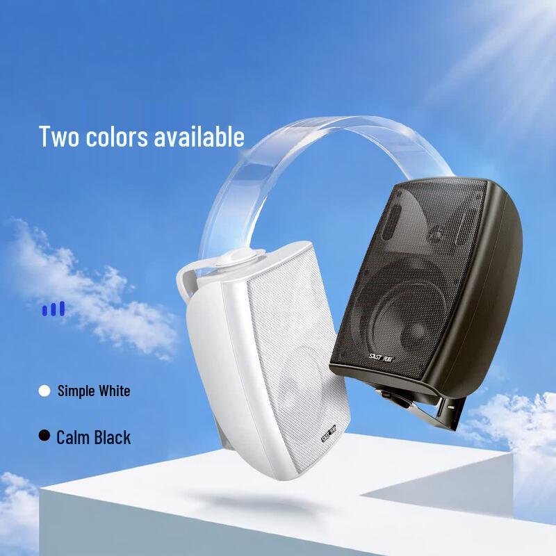 SAST P40 Wall-Mounted Bluetooth Amplifier & Speaker Set (CN Version)