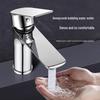 TLXT Stainless Steel Hot & Cold Basin Faucet