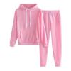 Women Plush Hoodie and Pants Set 2 Pcs Solid Color Long Sleeve Top Elastic Waist Ankle Banded Trousers Thick Sport Fitness Suit