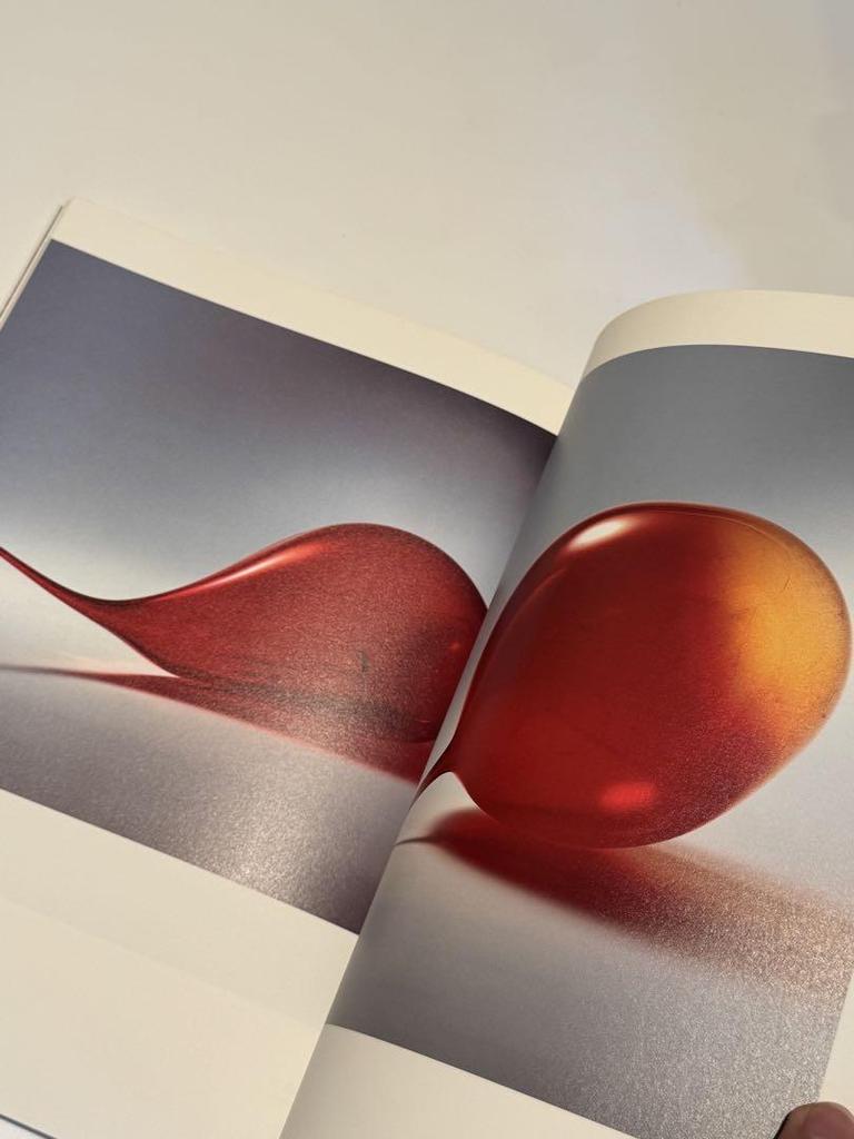 [USED] [Rare] Yukio Nakagawa Glass Calligraphy: The Shape of Life