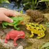 Realistic Texture Frog Squeak Toy Lifelike Appearance Toad Figurine  Animal Collections