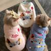 Kleding en schoenen – Vesten en shirts voor honden