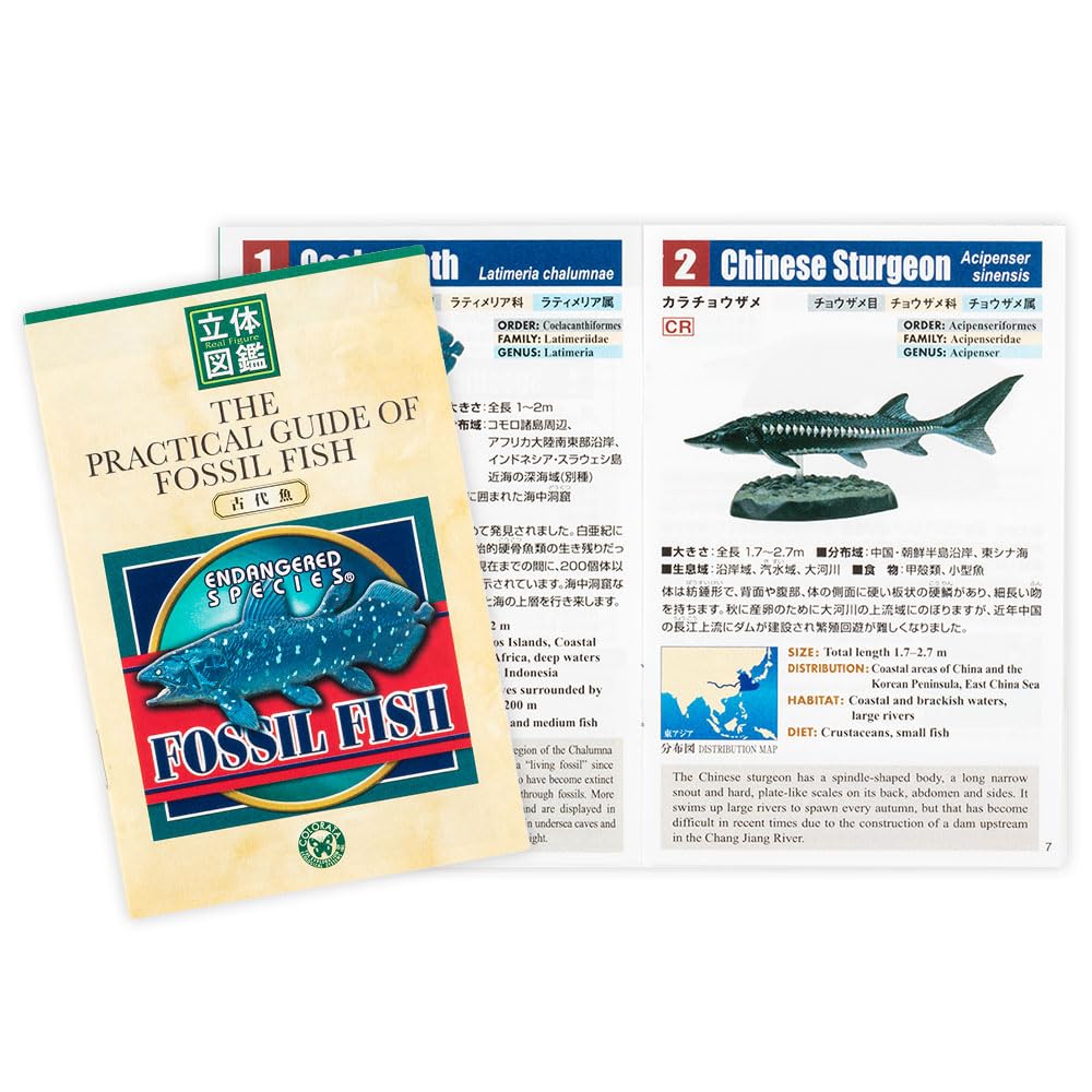 Carolata Ancient Fish Figure 3D Encyclopedia Creatures 7 Species With Realistic Figure Box Educational Toy Birthday Present Gift Sanitation Law Figure