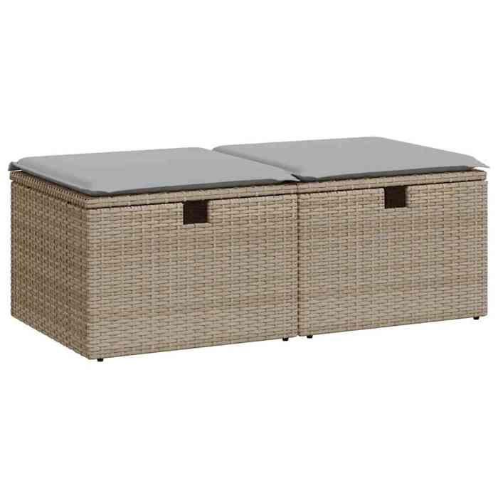 VidaXL Garden Lounge Set with Cushions 2 Pcs Beige Wicker Acacia 3328672