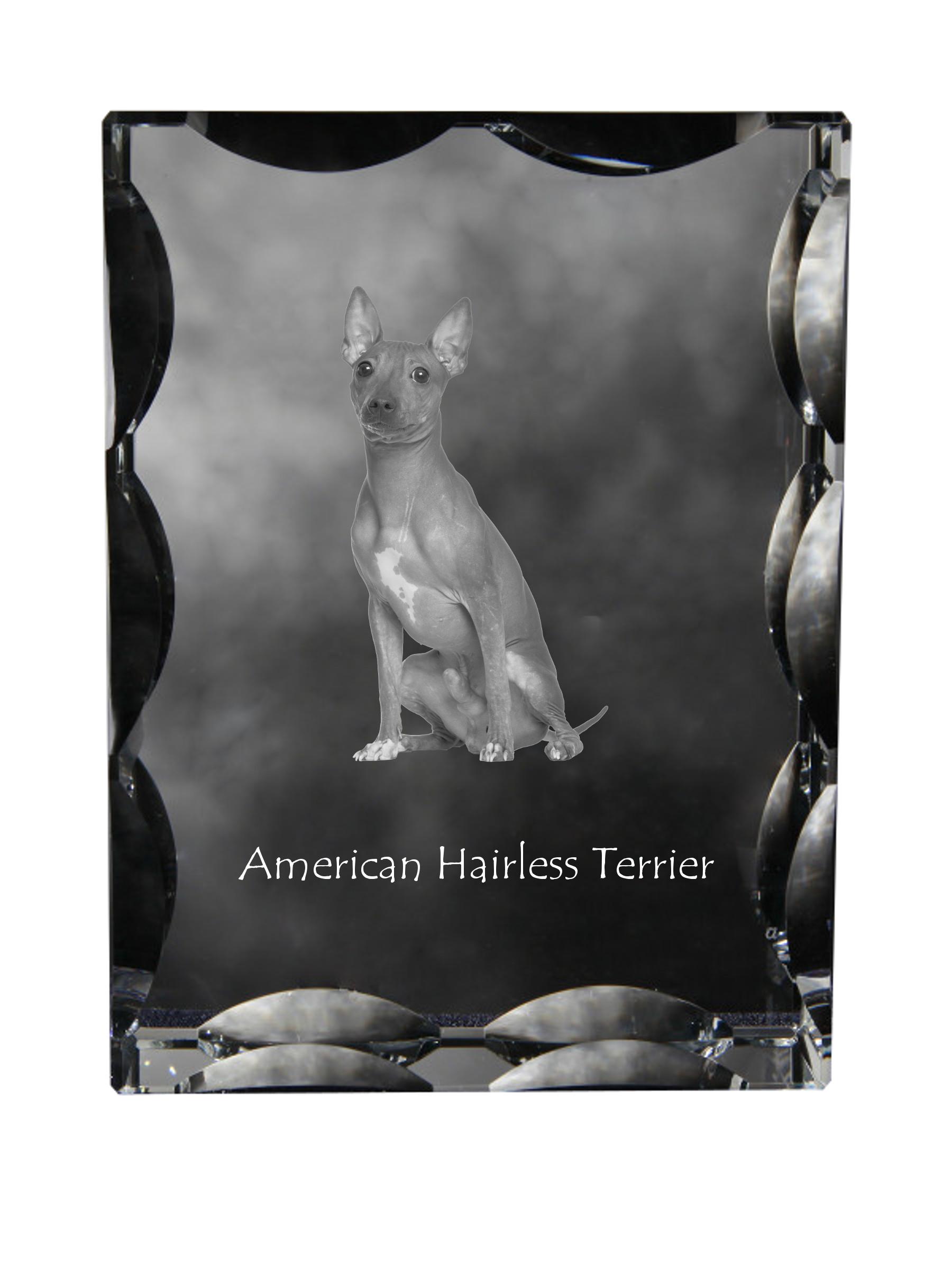 

American Hairless Terrier - crystal with a picture of a dog, glass statuette with a picture, unique frame with a picture from Art-Dog brand прозорий