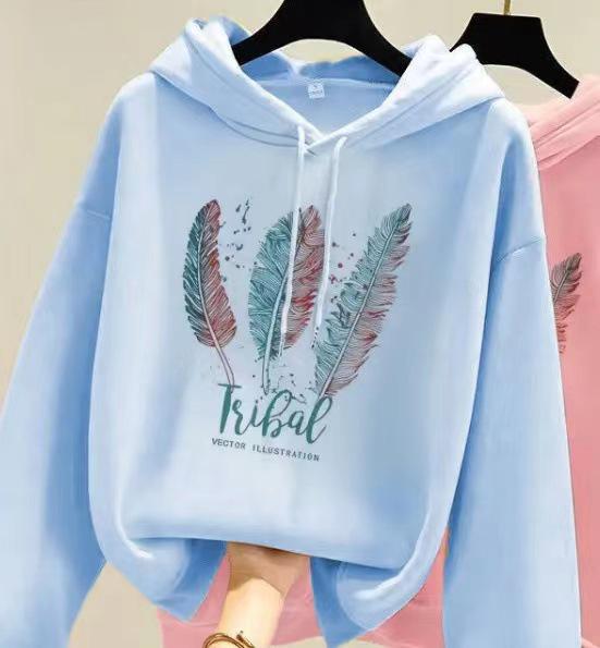 Korean Style Women's Fleece-Lined Hooded Sweatshirt, Plus Size, Loose Fit, Long-Sleeved, for Autumn and Winter.