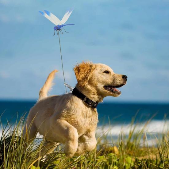 

4 шт. Зажим для шляпы в виде стрекозы 3D декор стрекозы с зажимом Декоративные накладные украшения в виде стрекозы для шляп, дворов, садов, для помещений 4pcs разноцветный