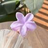 Frangipani Fresh and Sweet Egg Flower Hair Claw Back of Head Disc Hair Shark Clip Hair Ornament Claw Hair Clips for Women