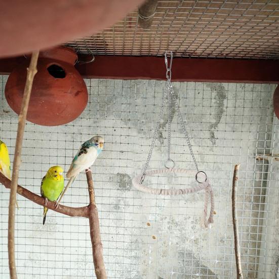 Jucărie Papagal Pasăre Frânghie de Bumbac Jucărie Cerc Papagal Mestecat Mușcat Ciocănit Băț Pasăre