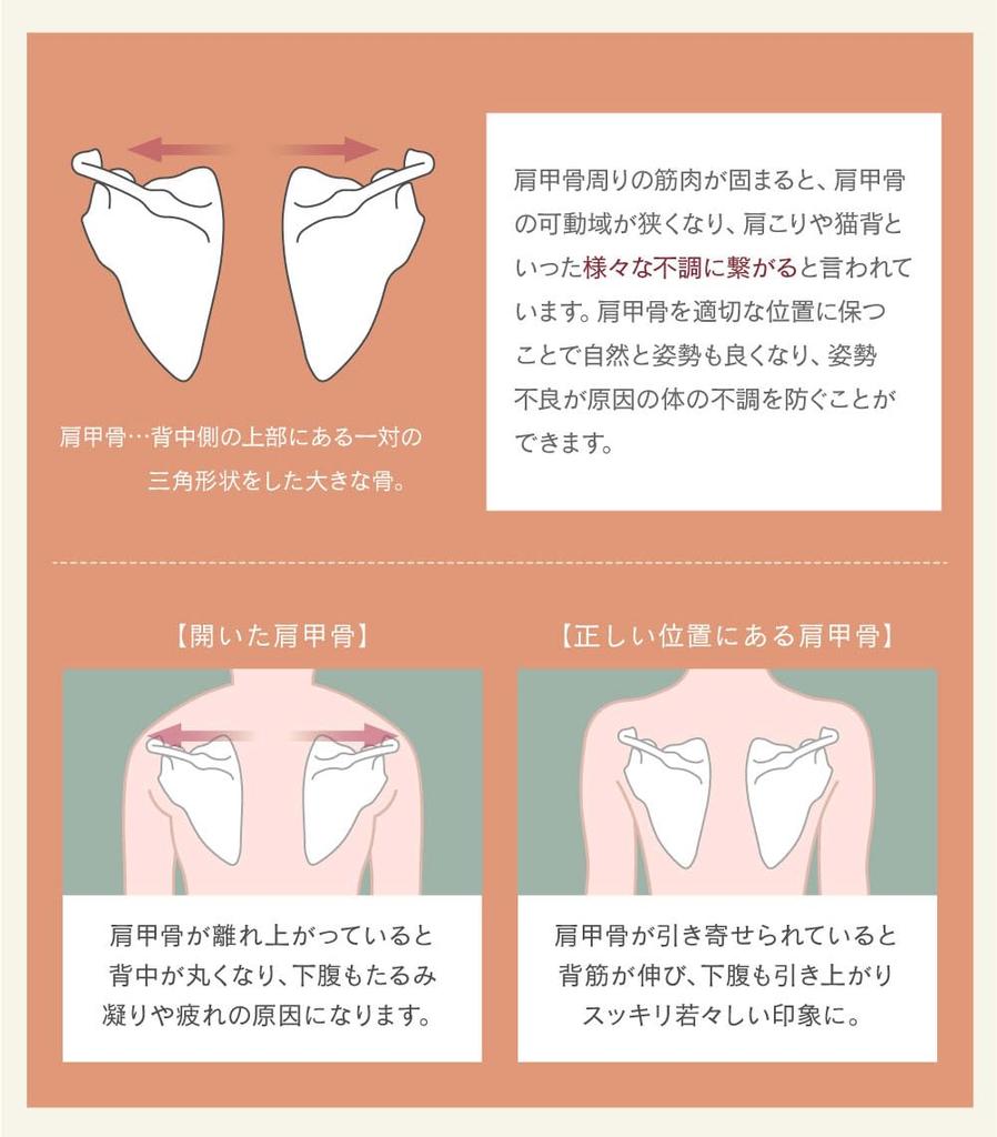 Bust Shapewear Short Posture Armpit Back Bust FT0367 [Glamour] Shaper, [Totonou Shaper, Type], Cleavage, Correction, Women's, Fat, Support, Up,