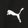 Puma Teamgoal Sidelined Jacket
