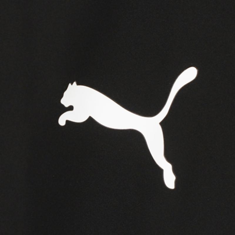 Puma Teamgoal Sidelined Jacket