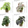 Exquisite Plastic Bonsai Set For Home And Photography Props Eucalyptus Banana Leaf Turtle Back Daisy Hibiscus