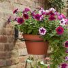 Plant Pot Wall Hanger 6-Pieces Flowerpot Metal Display Holder Indoor Flower Planter Support For Home Apartment Farmhouse Balcony