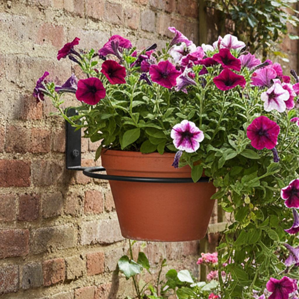 Plant Pot Wall Hanger 6-Pieces Flowerpot Metal Display Holder Indoor Flower Planter Support For Home Apartment Farmhouse Balcony