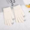 Korean Winter Gloves Brushed Fleece Thick Ribbed Jacquard Touchscreen Unisex
