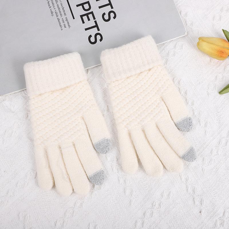 Korean Winter Gloves Brushed Fleece Thick Ribbed Jacquard Touchscreen Unisex