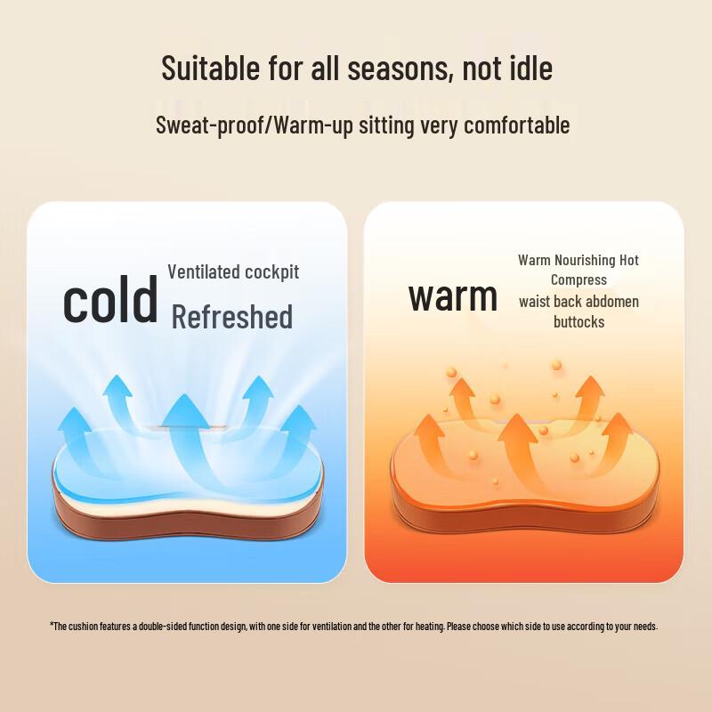 OGAWA Smart Back & Lumbar Massage Cushion CN plug (adapter included)