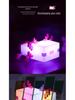 Minecraft Pixel Salamander Night Light - Illuminated Toy Lamp Model
