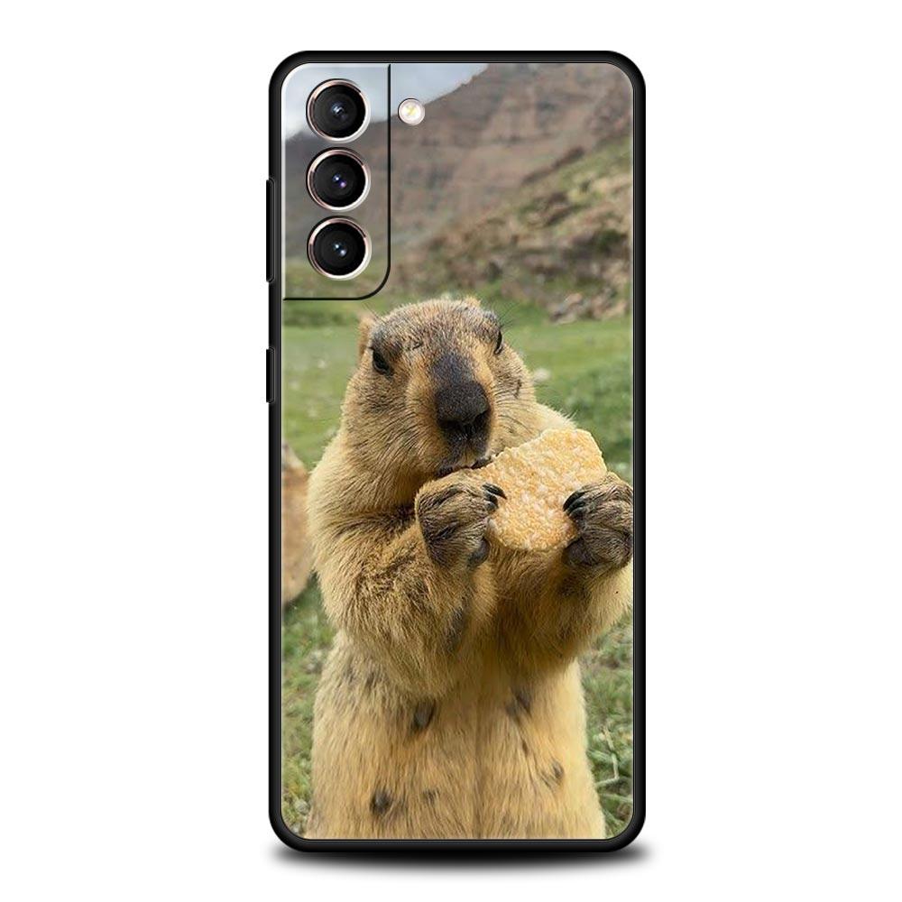

marmot Soft Phone Case For Samsung Galaxy S25 Edge S24 Plus S23 FE S22 S21 S20 Ultra 5G S10 Black Protect Cover Samsung S21
