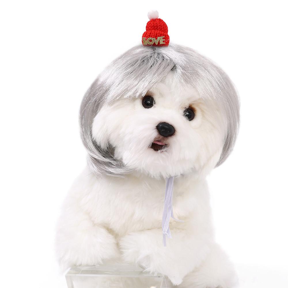 Are 10 Here Suggested Titles For The Pet Wig Product Based On The Information Provided