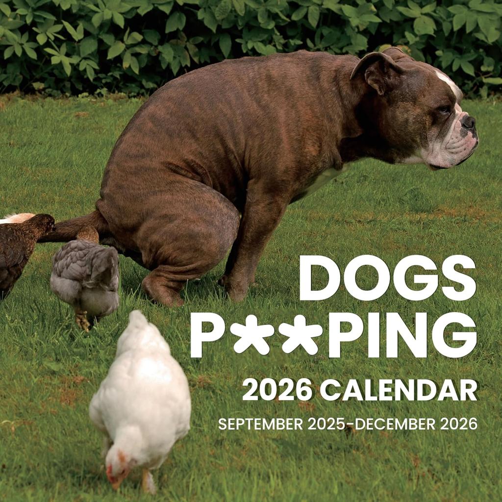 SUNEE 2026 Calendar for Wall, 2026 Large Wall calendar 12x12 Inches with 16 Months from September 2025 to December 2026, Thick Glossy Paper, 12" x