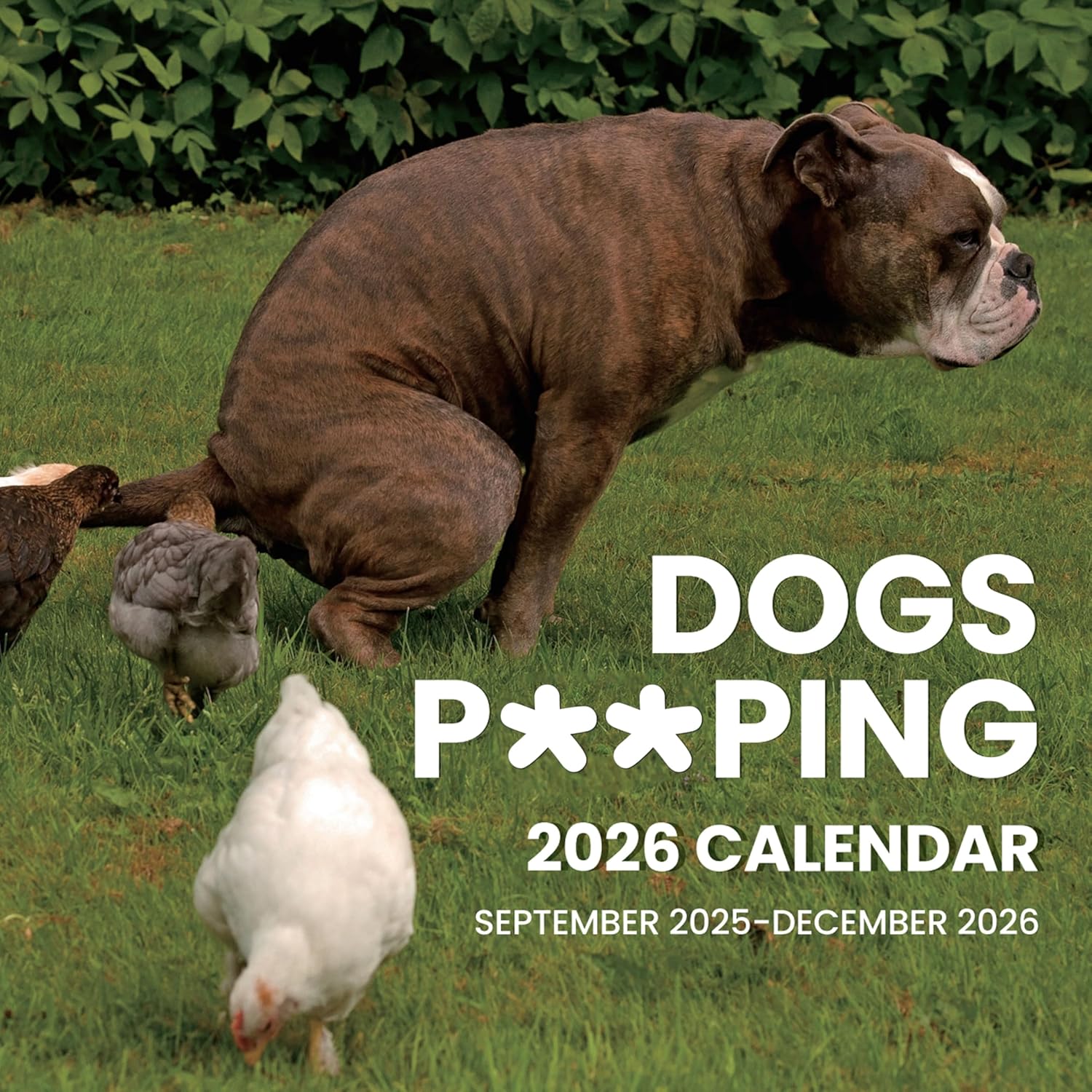 SUNEE 2026 Calendar for Wall, 2026 Large Wall calendar 12x12 Inches with 16 Months from September 2025 to December 2026, Thick Glossy Paper, 12 x Funny Dog