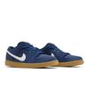 Nike Dunk Low SB 'Navy Gum' FJ1674-400 Men's Shoes