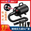 High-Power Cross-Border Pet Hair Dryer and Water Blower