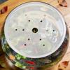 Round Fish Tank Lid Transparent Acrylic Top Cover 22cm/8.65in Fish Bowl Lid Clear Escape-proof Anti-Jumping Fish Bowl Cover