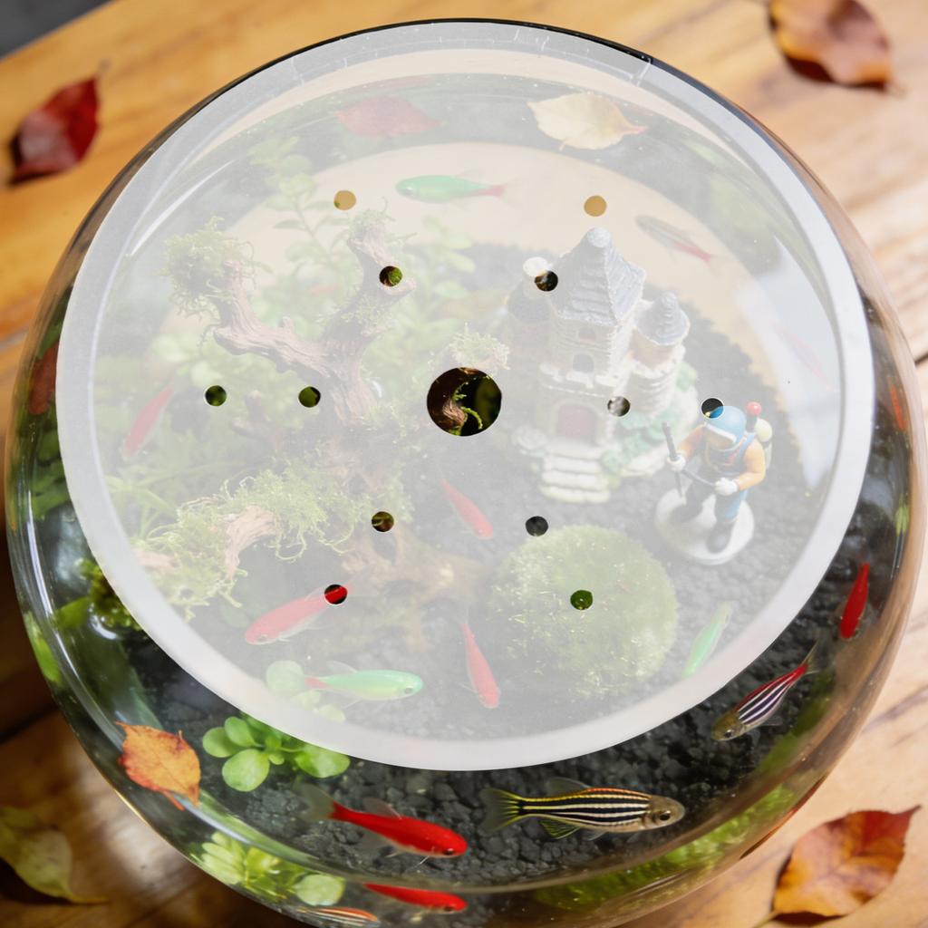 Round Fish Tank Lid Transparent Acrylic Top Cover 22cm/8.65in Fish Bowl Lid Clear Escape-proof Anti-Jumping Fish Bowl Cover
