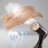 Garment Steamer, Steam Iron Berdsen