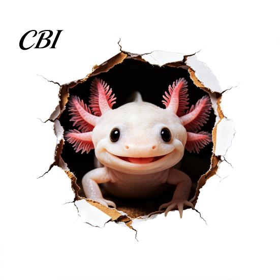Axolotl Wall Decals 3D Sticker, Realistic Hole Cute Animal Self Adhesive Modern Home Interior Decor Waterproof PVC Decal for Living Room Bedroom