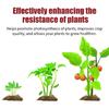 Gardening Slow Release Tablets Organic Fertilizers Strong Root for Garden