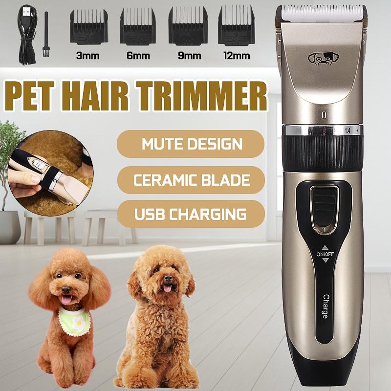 dog electric razor