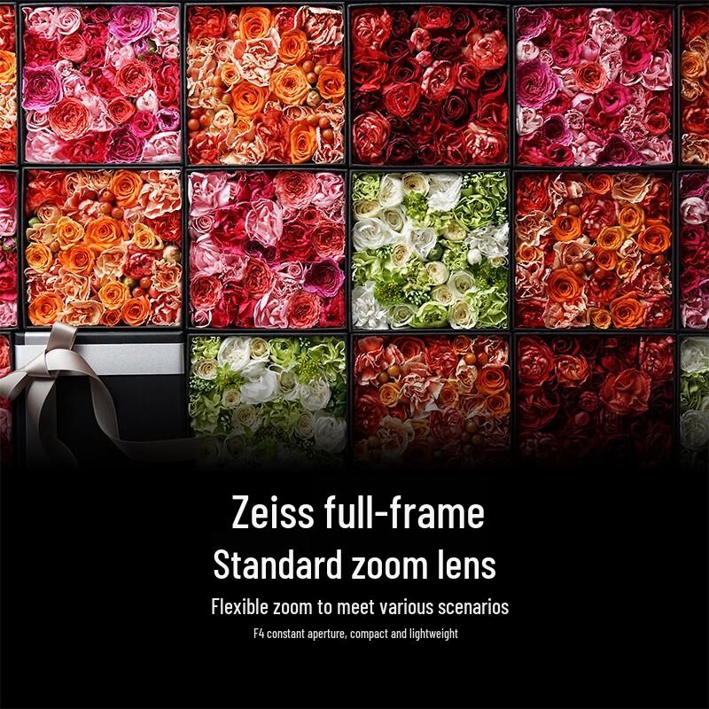 Sony Vario-Tessar T* FE 24-70mm F4 ZA OSS Standard Zoom Lens