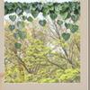UV Transparent Green Plant Window Sticker: Bedroom Balcony Decor