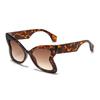 Women's Retro Butterfly Sunglasses - Elegant Color Block Design with Sun Protection