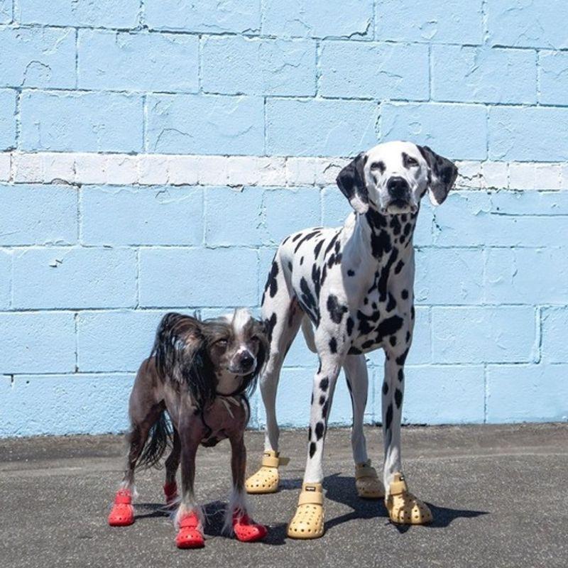 Wagwear Mojave Wagwellis