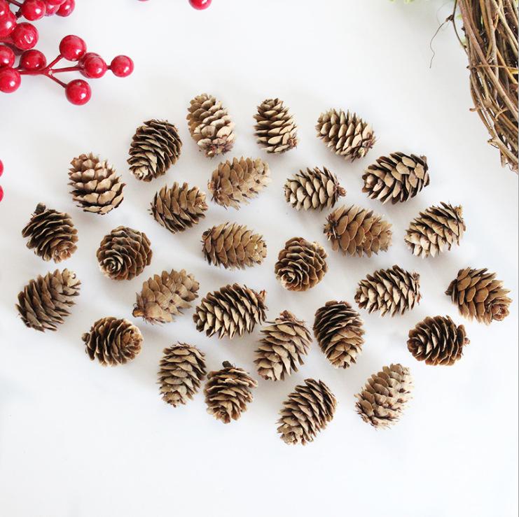 

Натуральные сосновые шишки 2-3 см Сосновые шары Сосновые цветы Сухоцветы Растения Рождественские украшения Украшения Аксессуары Микропейзажная съемка A1-5 Songhua 2-3cm